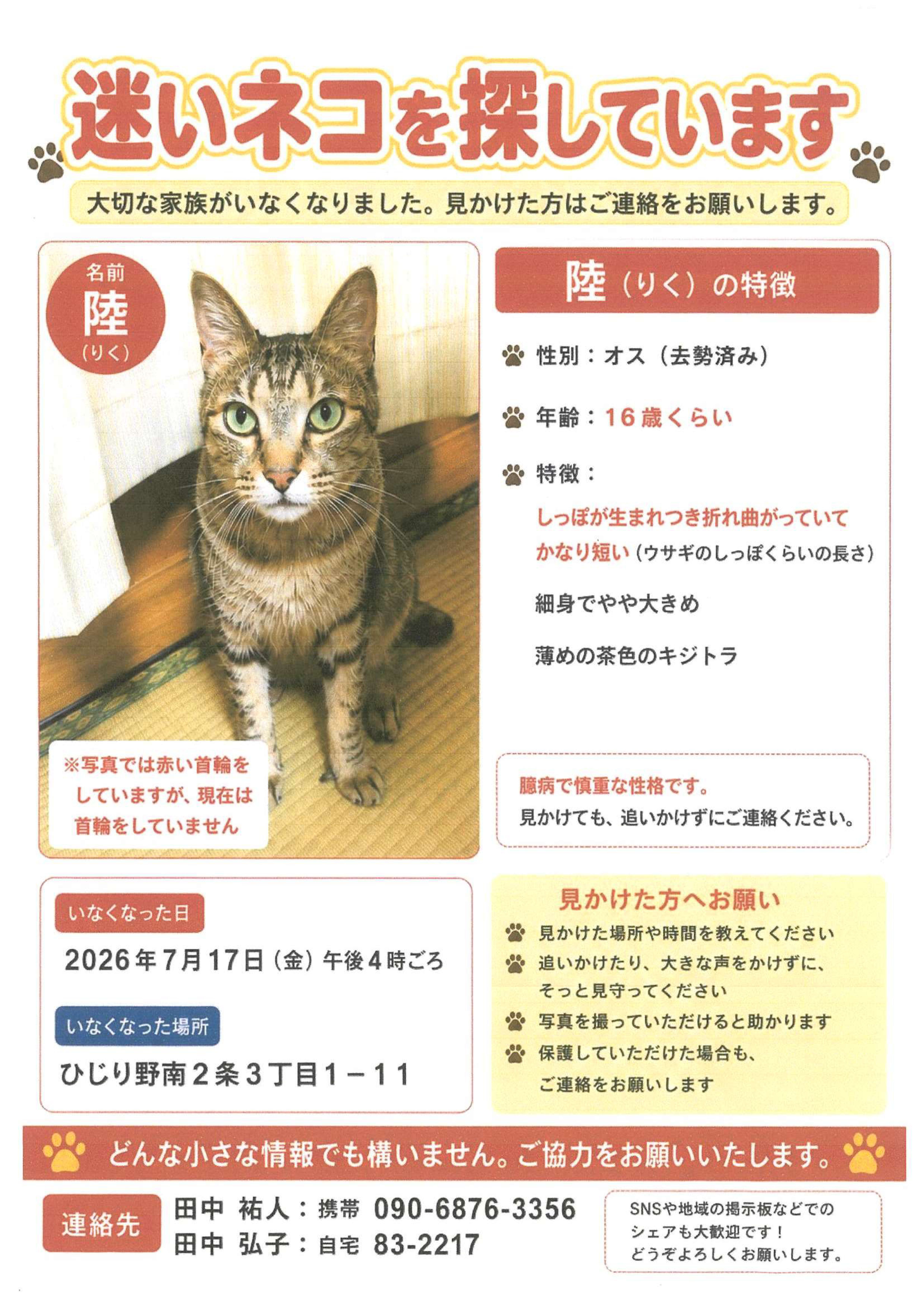 迷い猫情報.jpg