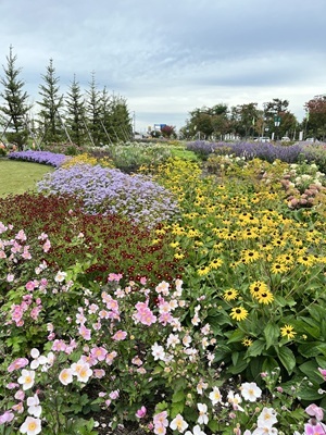 写真3